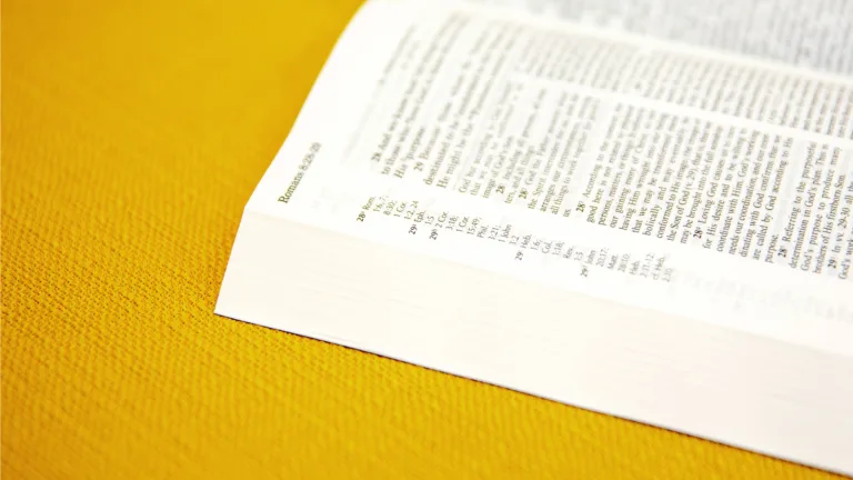 Biblia abierta sobre trasfondo amarillo