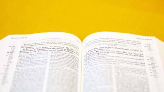 El primer paso para entender la Biblia
